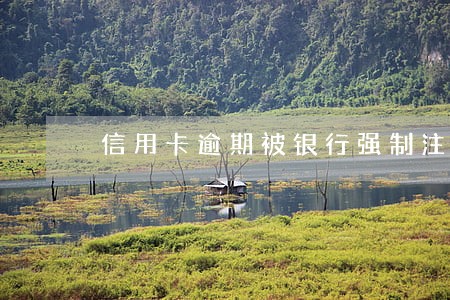 信用卡逾期被银行强制注销 信用卡逾期被银行强制注销