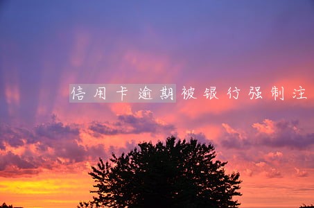 信用卡逾期被银行强制注销吗 信用卡逾期被银行强制注销吗