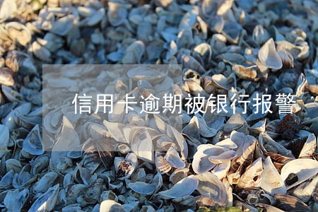 信用卡逾期被银行报警 信用卡逾期被银行报警