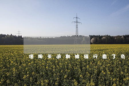 信用卡逾期被银行查了负债 信用卡逾期被银行查了负债