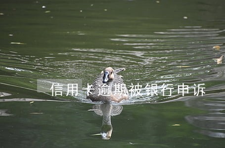 信用卡逾期被银行申诉 信用卡逾期被银行申诉
