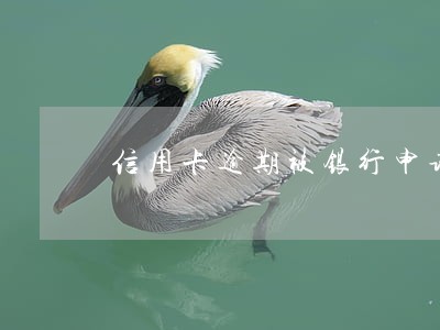 信用卡逾期被银行申请执行了