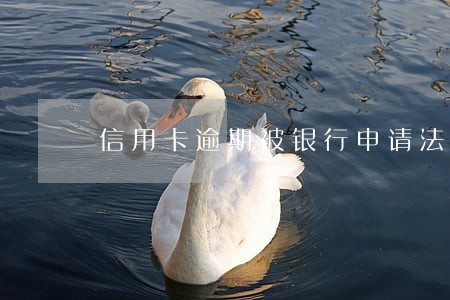信用卡逾期被银行申请法制教育