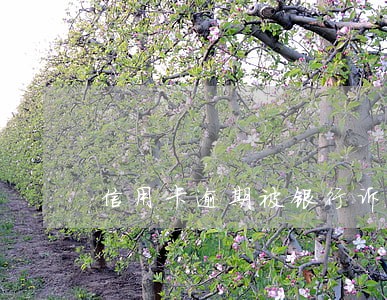信用卡逾期被银行诉讼会有罚金吗 信用卡逾期被银行诉讼会有罚金吗