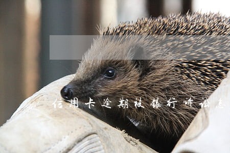 信用卡逾期被银行诉讼怎么办 信用卡逾期被银行诉讼怎么办