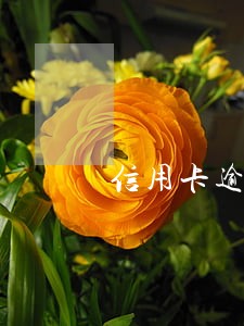 信用卡逾期被银行诉讼怎样协商