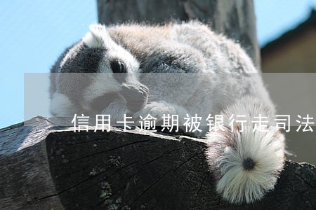 信用卡逾期被银行走司法程序 信用卡逾期被银行走司法程序