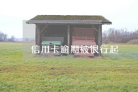信用卡逾期被银行起 信用卡逾期被银行起