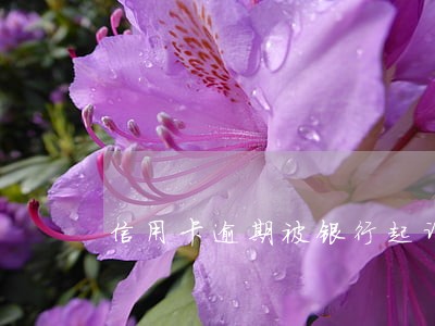 信用卡逾期被银行起诉了么办 信用卡逾期被银行起诉了么办