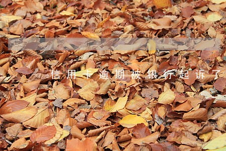信用卡逾期被银行起诉了协商不成 信用卡逾期被银行起诉了协商不成