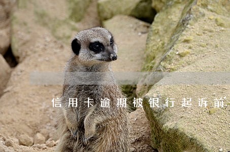 信用卡逾期被银行起诉前还款