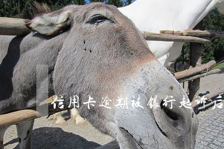 信用卡逾期被银行起诉后会怎样 信用卡逾期被银行起诉后会怎样