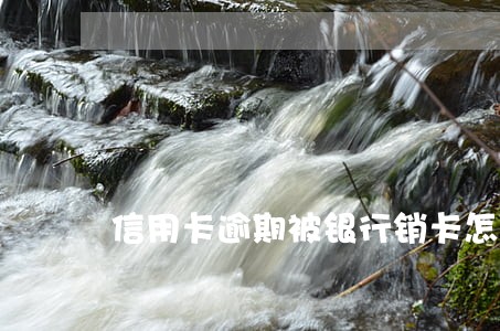 信用卡逾期被银行销卡怎么办 信用卡逾期被银行销卡怎么办