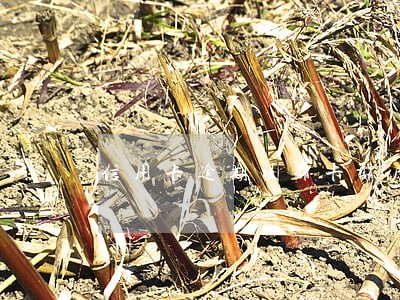 信用卡逾期被销卡销户 信用卡逾期被销卡销户