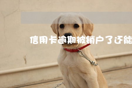 信用卡逾期被销户了还能恢复吗 信用卡逾期被销户了还能恢复吗