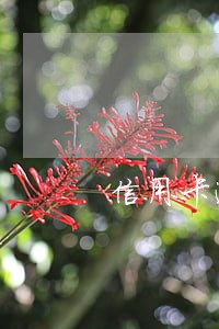 信用卡逾期被销户怎么办理吗 信用卡逾期被销户怎么办理吗