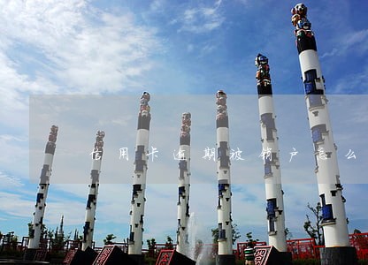 信用卡逾期被销户怎么还款 信用卡逾期被销户怎么还款