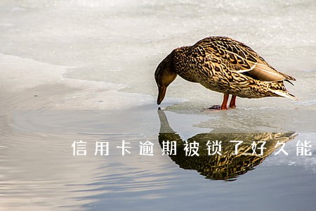 信用卡逾期被锁了好久能解冻 信用卡逾期被锁了好久能解冻