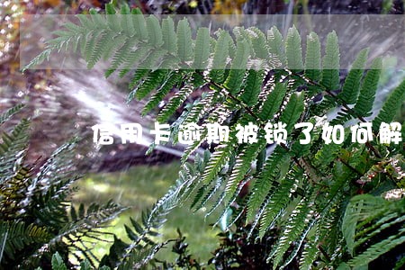 信用卡逾期被锁了如何解锁 信用卡逾期被锁了如何解锁