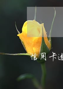 信用卡逾期被锁了有什么影响