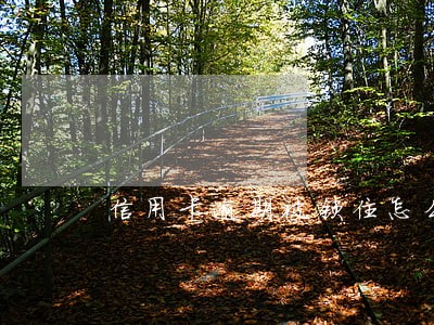 信用卡逾期被锁住怎么办 信用卡逾期被锁住怎么办