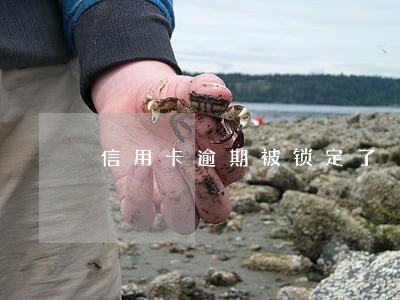 信用卡逾期被锁定了