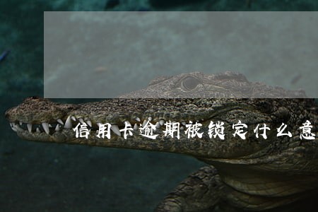 信用卡逾期被锁定什么意思 信用卡逾期被锁定什么意思