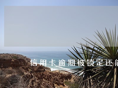 信用卡逾期被锁定还能用吗 信用卡逾期被锁定还能用吗