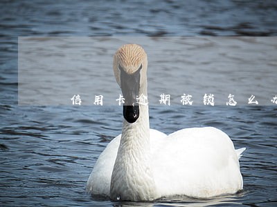 信用卡逾期被锁怎么办6 信用卡逾期被锁怎么办6