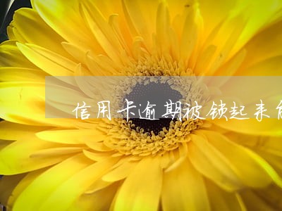 信用卡逾期被锁起来能解开吗