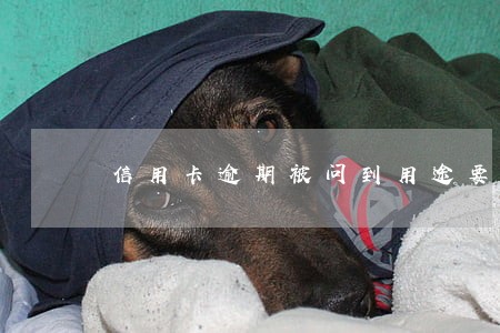 信用卡逾期被问到用途要怎么说 信用卡逾期被问到用途要怎么说