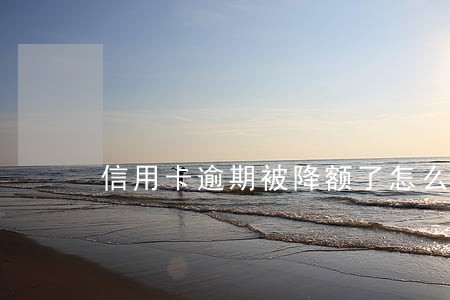 信用卡逾期被降额了怎么办 信用卡逾期被降额了怎么办