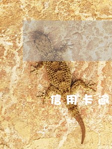 信用卡逾期被降额成0 信用卡逾期被降额成0