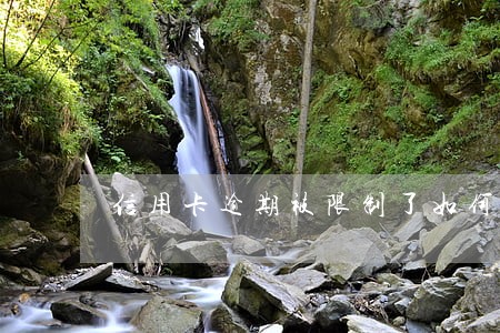 信用卡逾期被限制了如何套现 信用卡逾期被限制了如何套现