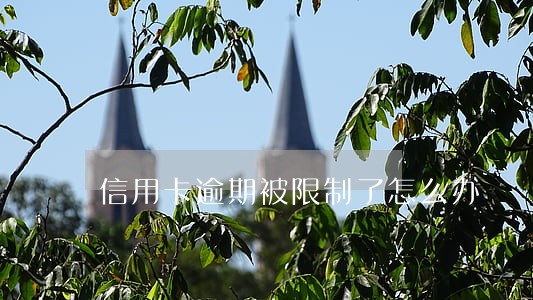 信用卡逾期被限制了怎么办 信用卡逾期被限制了怎么办
