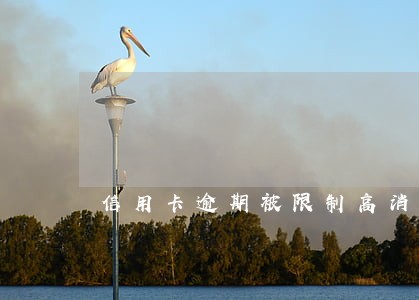 信用卡逾期被限制高消费怎么办 信用卡逾期被限制高消费怎么办