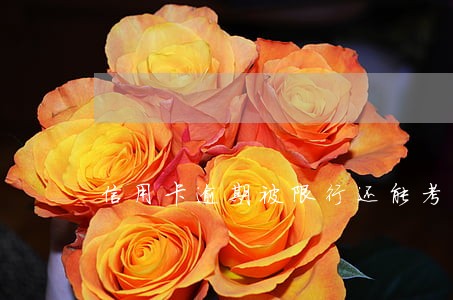 信用卡逾期被限行还能考驾照吗