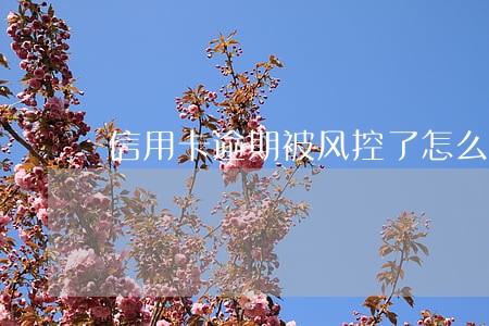 信用卡逾期被风控了怎么办 信用卡逾期被风控了怎么办