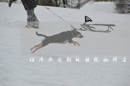 信用卡逾期被骚扰如何应对 信用卡逾期被骚扰如何应对