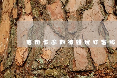信用卡逾期被骚扰打客服有用吗