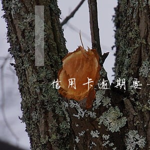 信用卡逾期要一次性偿还 信用卡逾期要一次性偿还