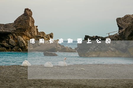 信用卡逾期要上公司