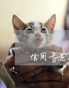 信用卡逾期要上公安网短信 信用卡逾期要上公安网短信