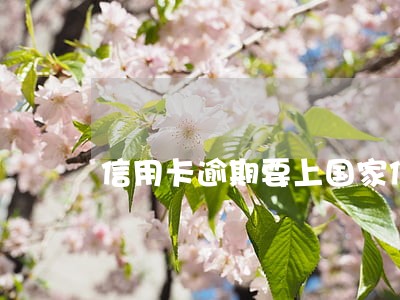 信用卡逾期要上国家信用 信用卡逾期要上国家信用