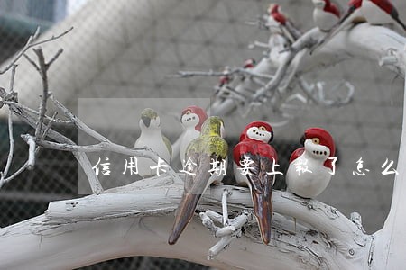 信用卡逾期要上报了怎么办 信用卡逾期要上报了怎么办