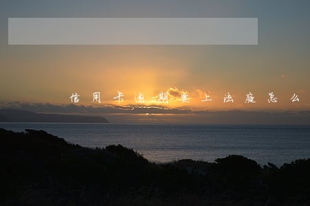 信用卡逾期要上法庭怎么办