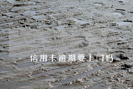 信用卡逾期要上门吗 信用卡逾期要上门吗