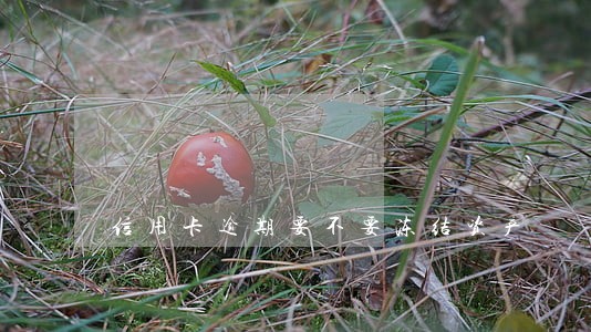 信用卡逾期要不要冻结资产 信用卡逾期要不要冻结资产
