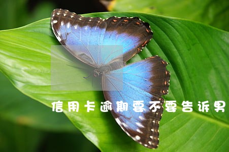 信用卡逾期要不要告诉男朋友