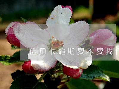信用卡逾期要不要找代偿 信用卡逾期要不要找代偿